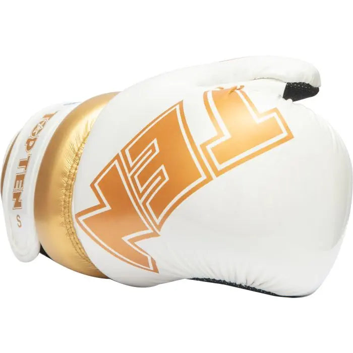 Top Ten Gloves (WAKO approved)